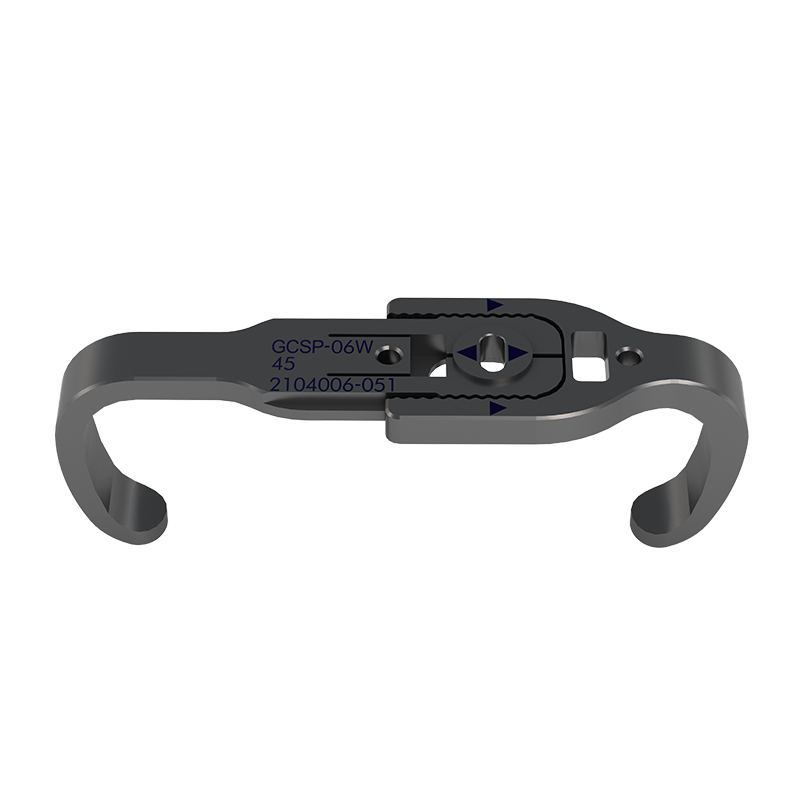 Placa sternală